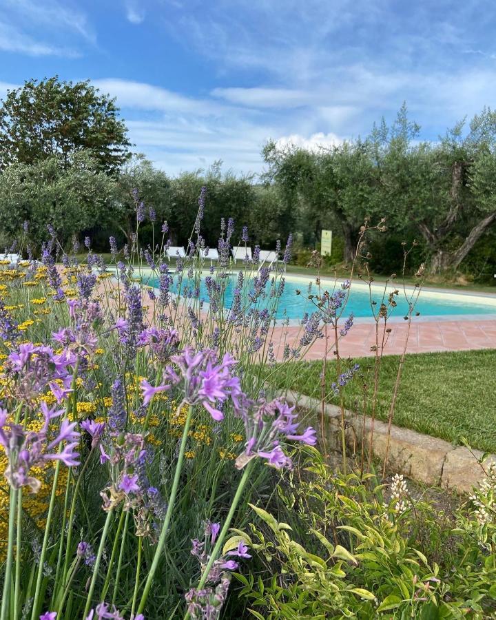Glamping Il Grillo Tente de luxe *